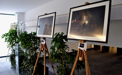 11_250x154_crop_478b24840a