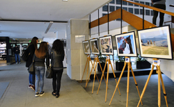 2_250x154_crop_478b24840a