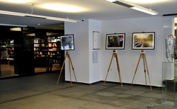 6_250x154_crop_478b24840a