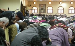 bild3_250x154_crop_478b24840a