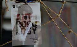 56835476-264211684344450-247128801849376768-n_250x154_crop_478b24840a