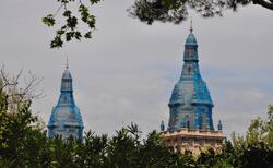 57001895-814323782268035-8872334442673209344-n_250x154_crop_478b24840a