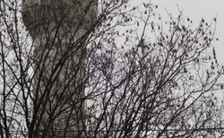 img-4055_250x154_crop_478b24840a