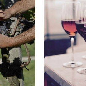 2_280x280_crop_478b24840a