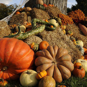 photo-14_280x280_crop_478b24840a