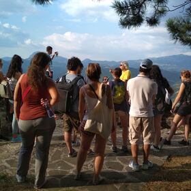 img-20190726-183241_280x280_crop_478b24840a