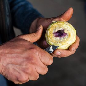 15774747-1621130611515596-4402320342569747941-o_280x280_crop_478b24840a