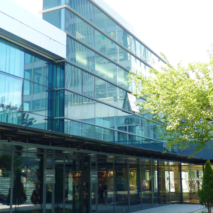 sl-2_700x700_crop_478b24840a