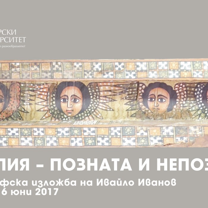 head-fb_700x700_crop_478b24840a