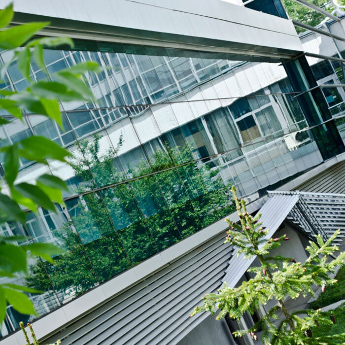 nbu-2-dsc0084-copy-01_700x700_crop_478b24840a