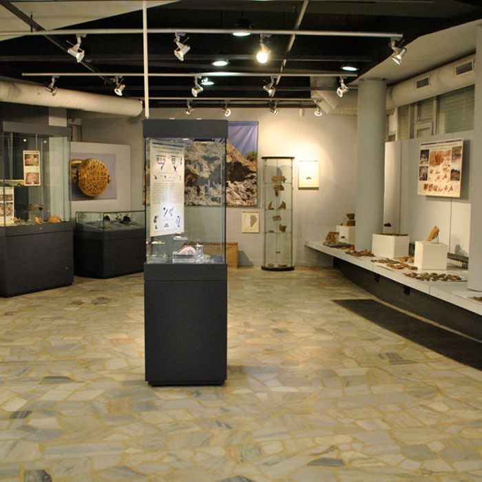 dsc0002-2_700x700_crop_478b24840a